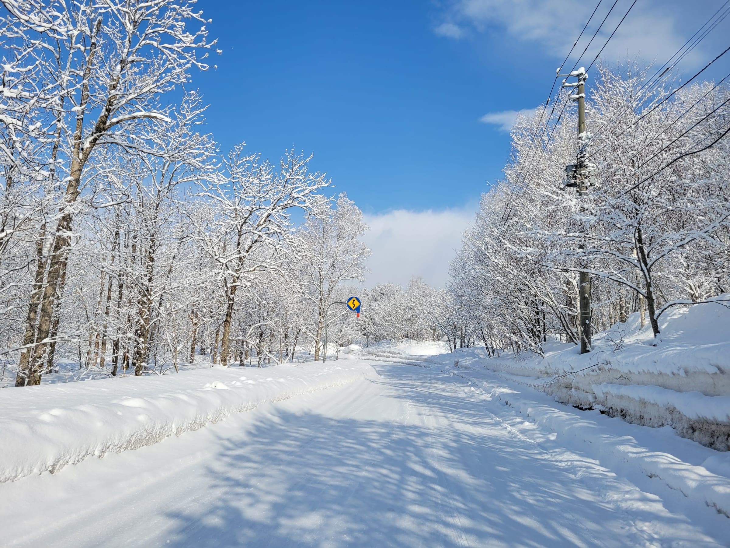 A snow-packed road runs between frosted trees in Hokkaido