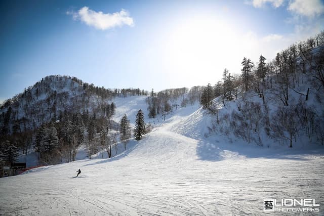 A lone skier descends a wide groomed run between snow-laden forest at Furano Ski Resort