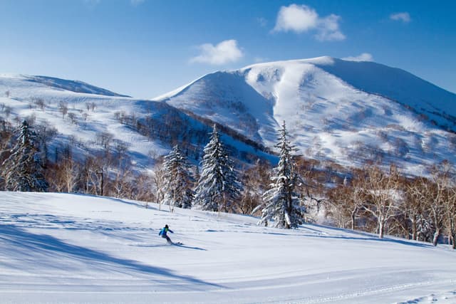 A skier crosses open snow below a rounded white summit at Kiroro under a clear blue sky