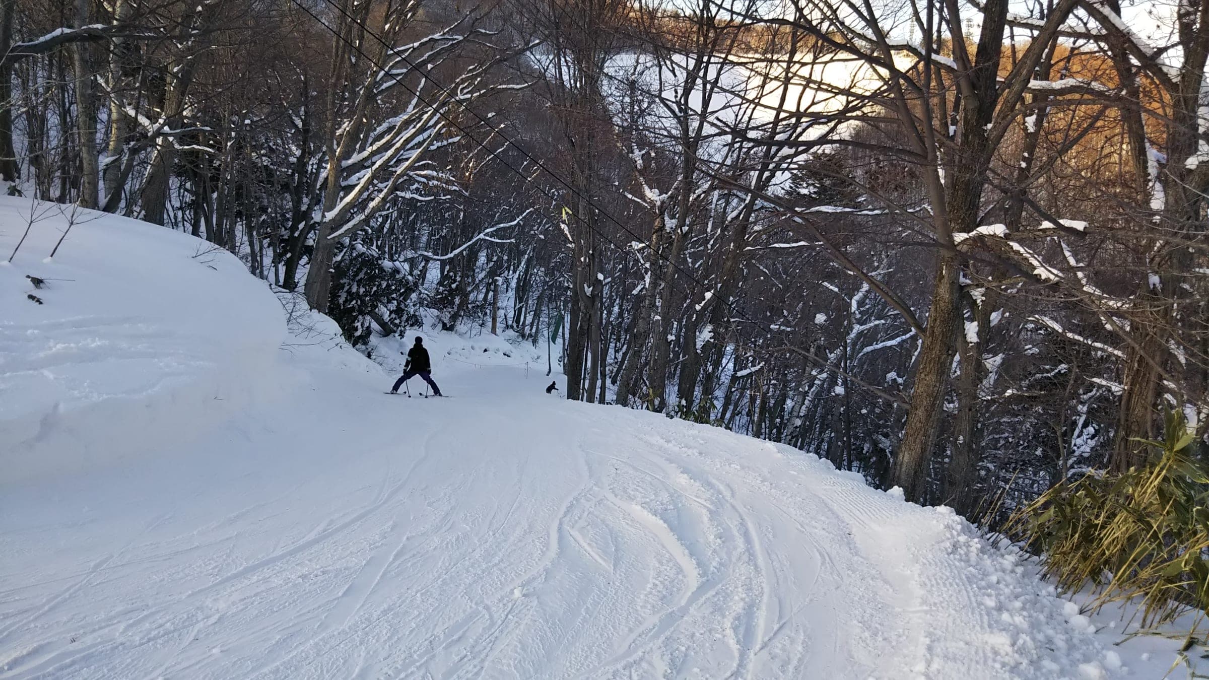 Skiers wind down the Rinkan course through bare winter forest at Sapporo Moiwayama