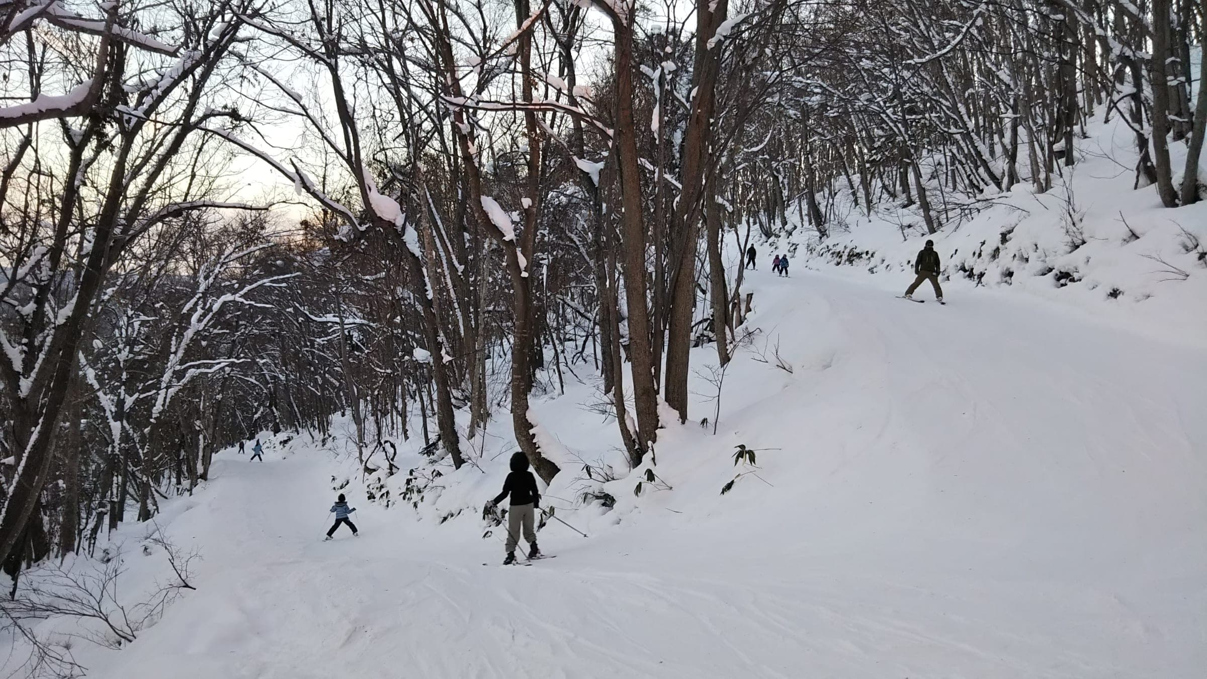 A skier follows the narrow Renrakuro trail between snowy trees at Sapporo Moiwayama