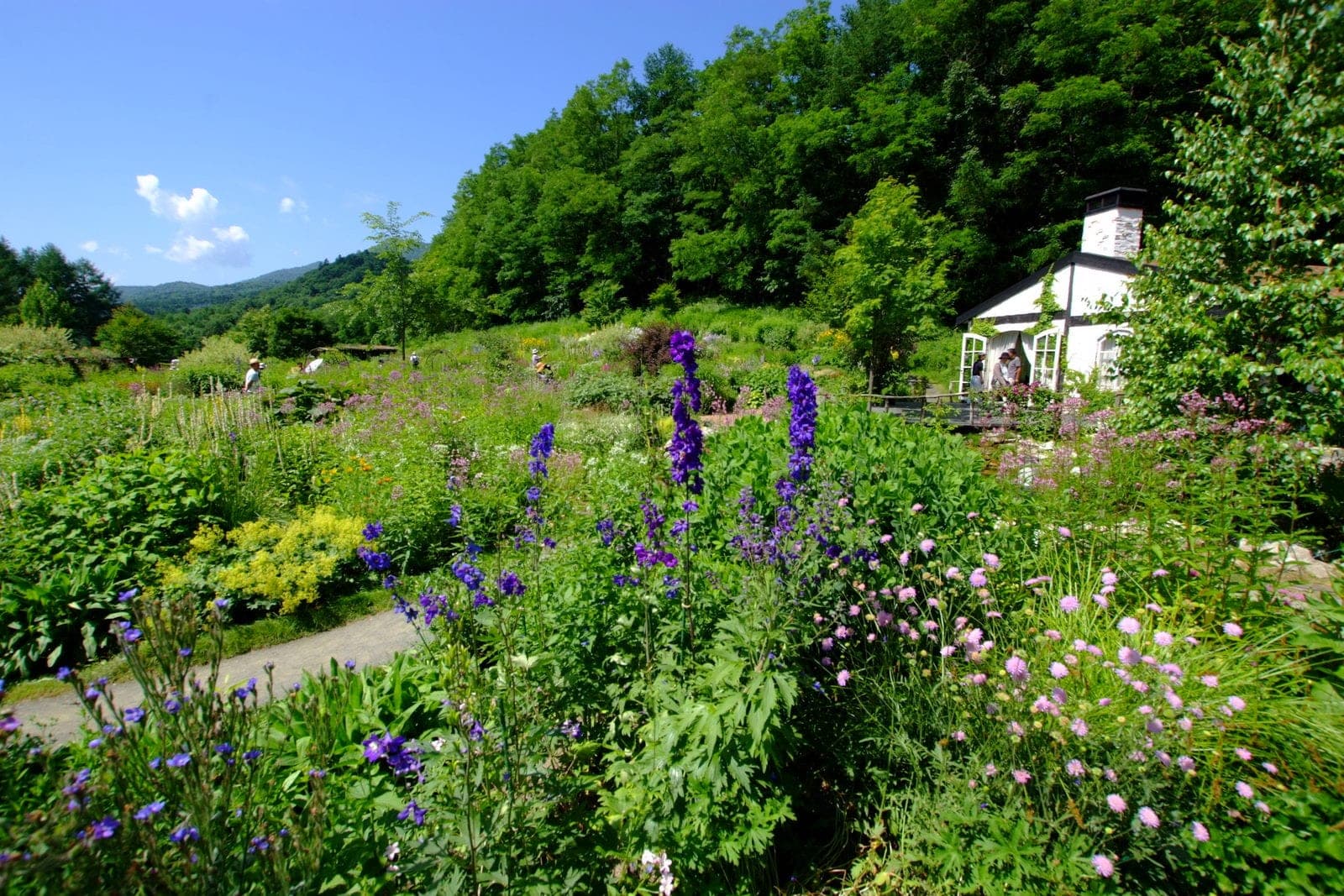 Flower beds and a glasshouse in the Garden of the Wind at Shin Furano Prince Hotel