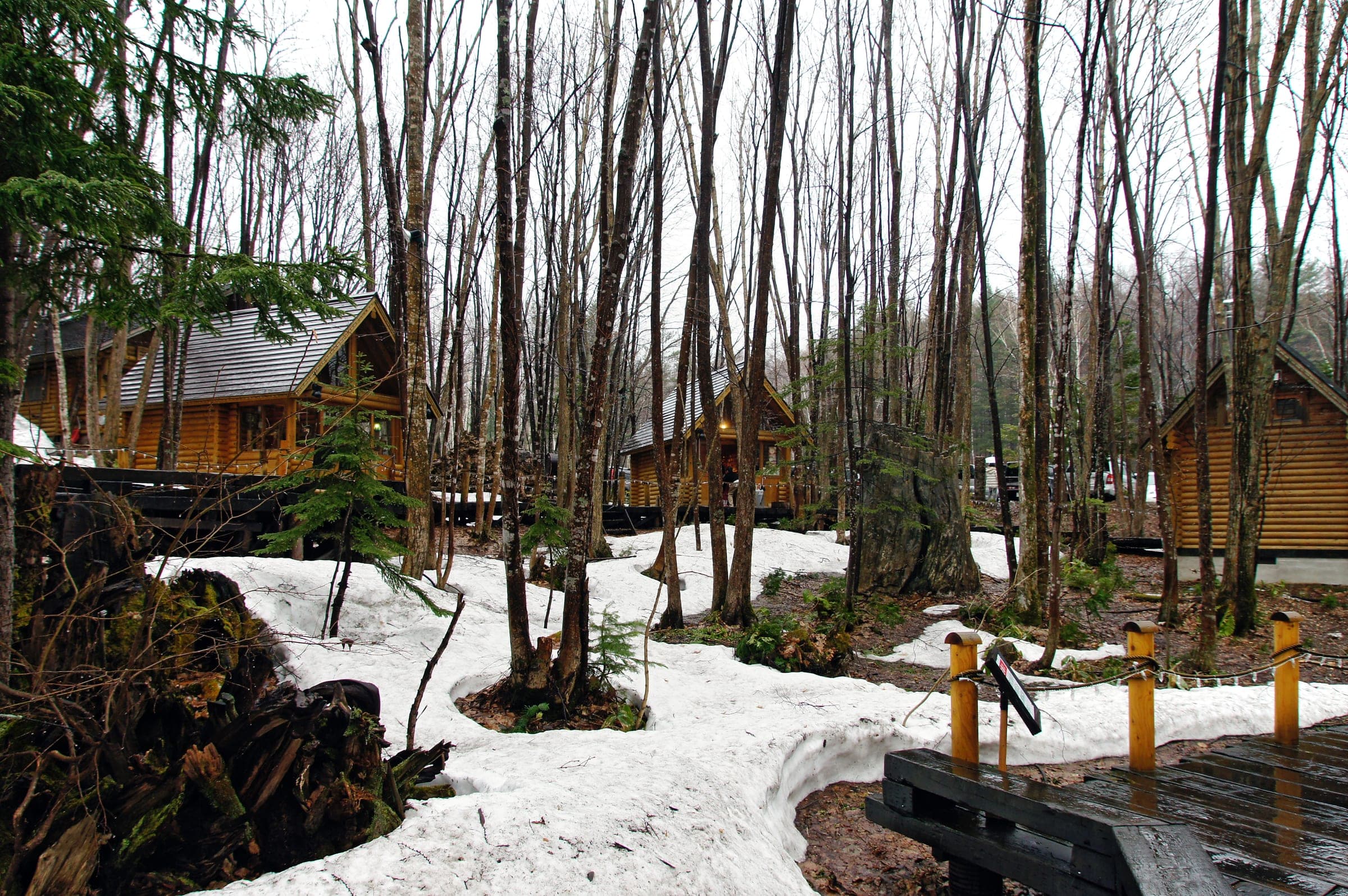 Log craft cabins of Ningle Terrace among birches and late snow at Shin Furano Prince Hotel