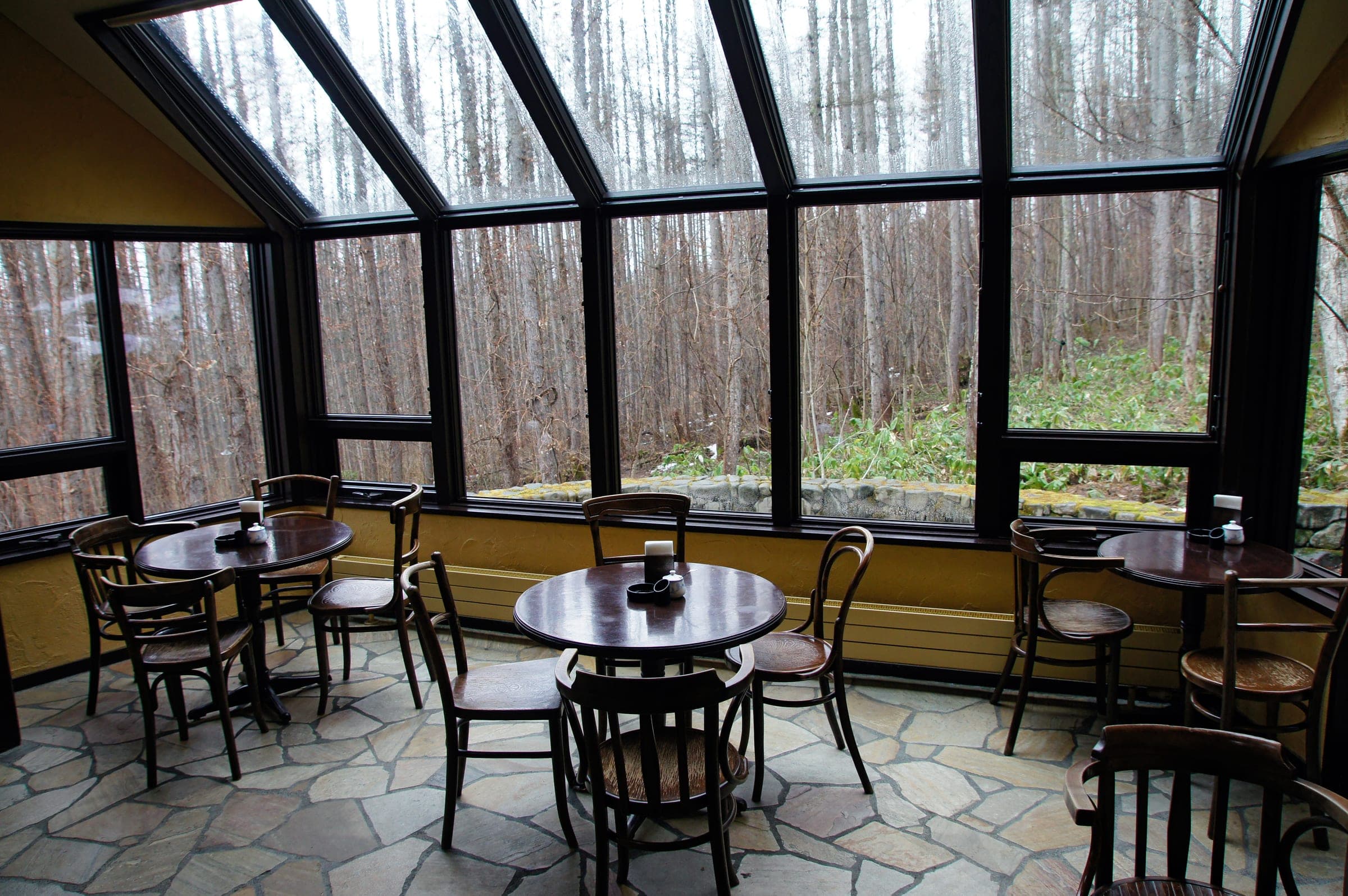 Café Mori-no-tokei's window tables looking into the birch forest at Shin Furano Prince Hotel