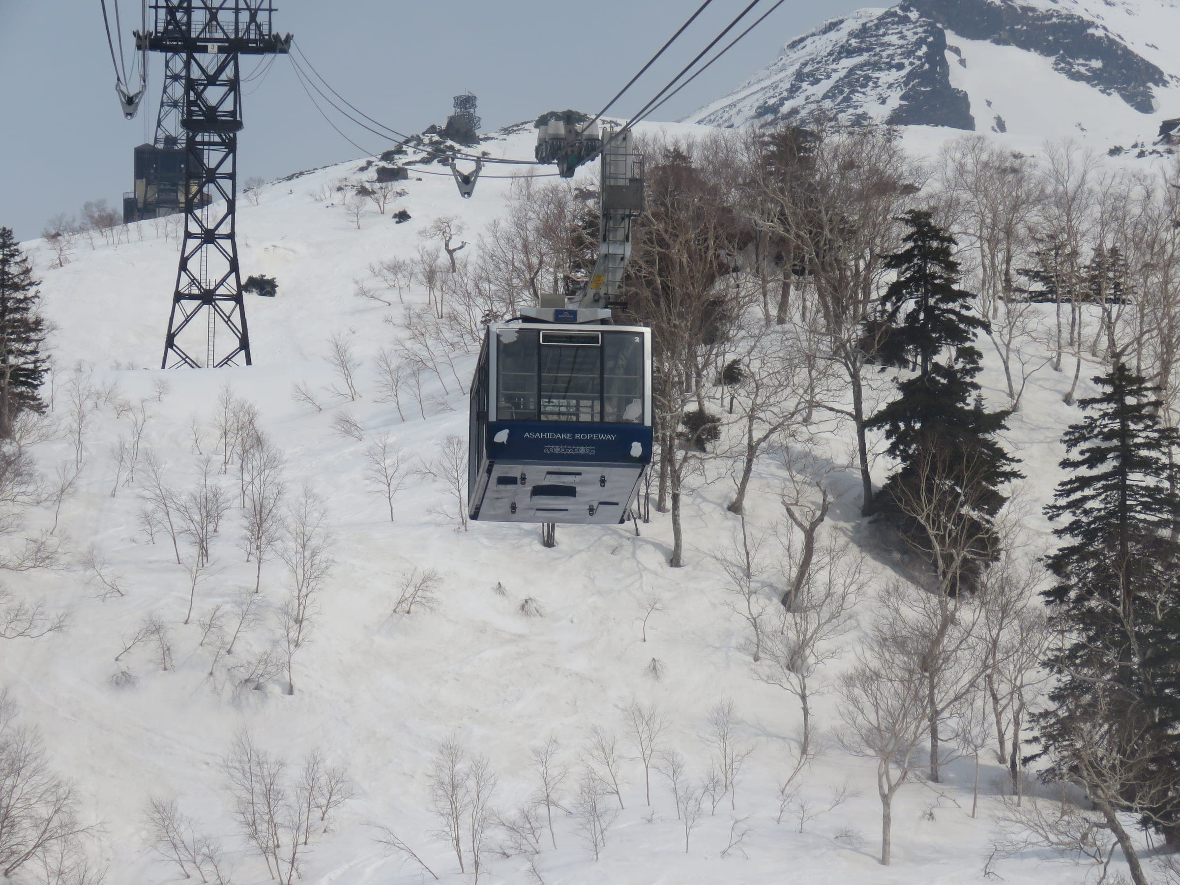 An Asahidake Ropeway cabin rides over snowy forest on Mt. Asahi