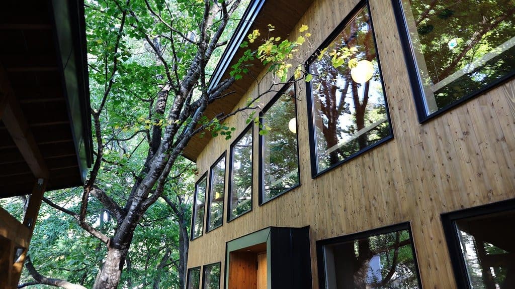 The timber and glass wall of Exclamation Bakery among trees in Jozankei