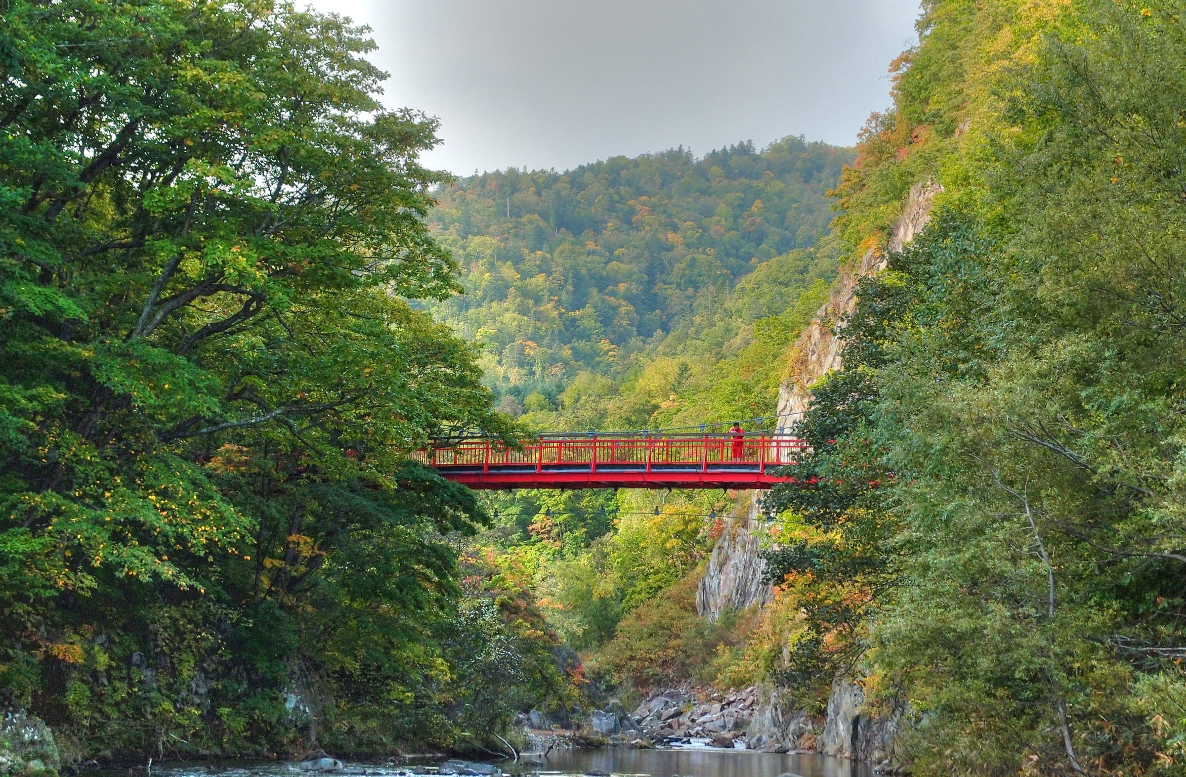 The red Futami Suspension Bridge spans a green gorge in Jozankei