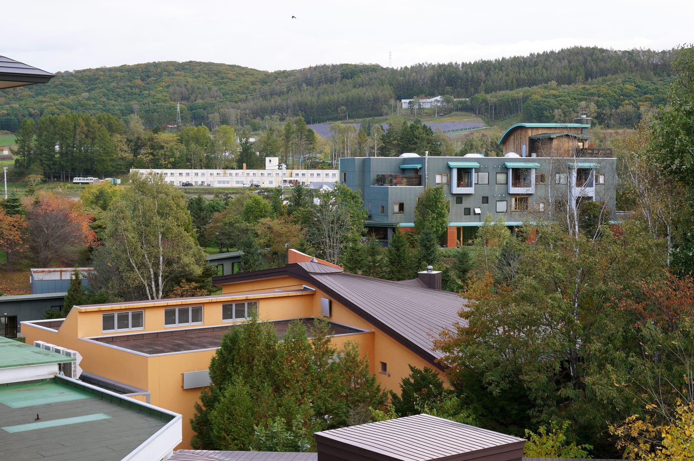 Hotels and houses of Tokachigawa Onsen among autumn trees