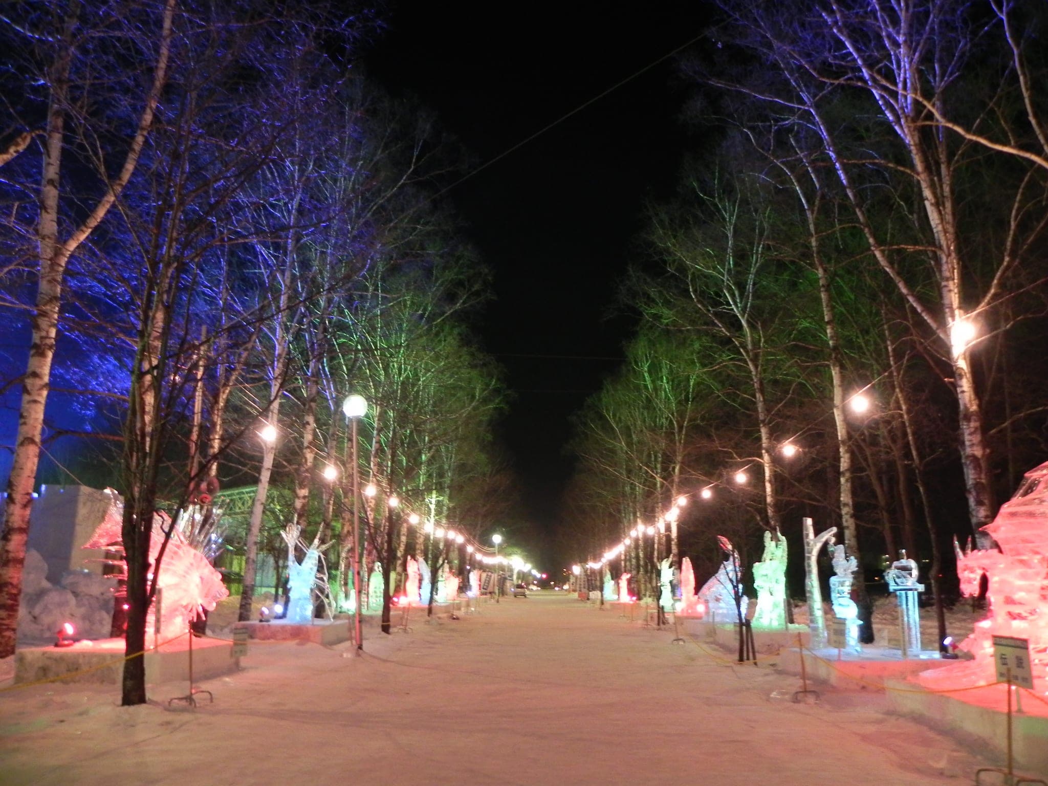 Lit ice sculptures line a tree-lined path at the Obihiro Ice Festival