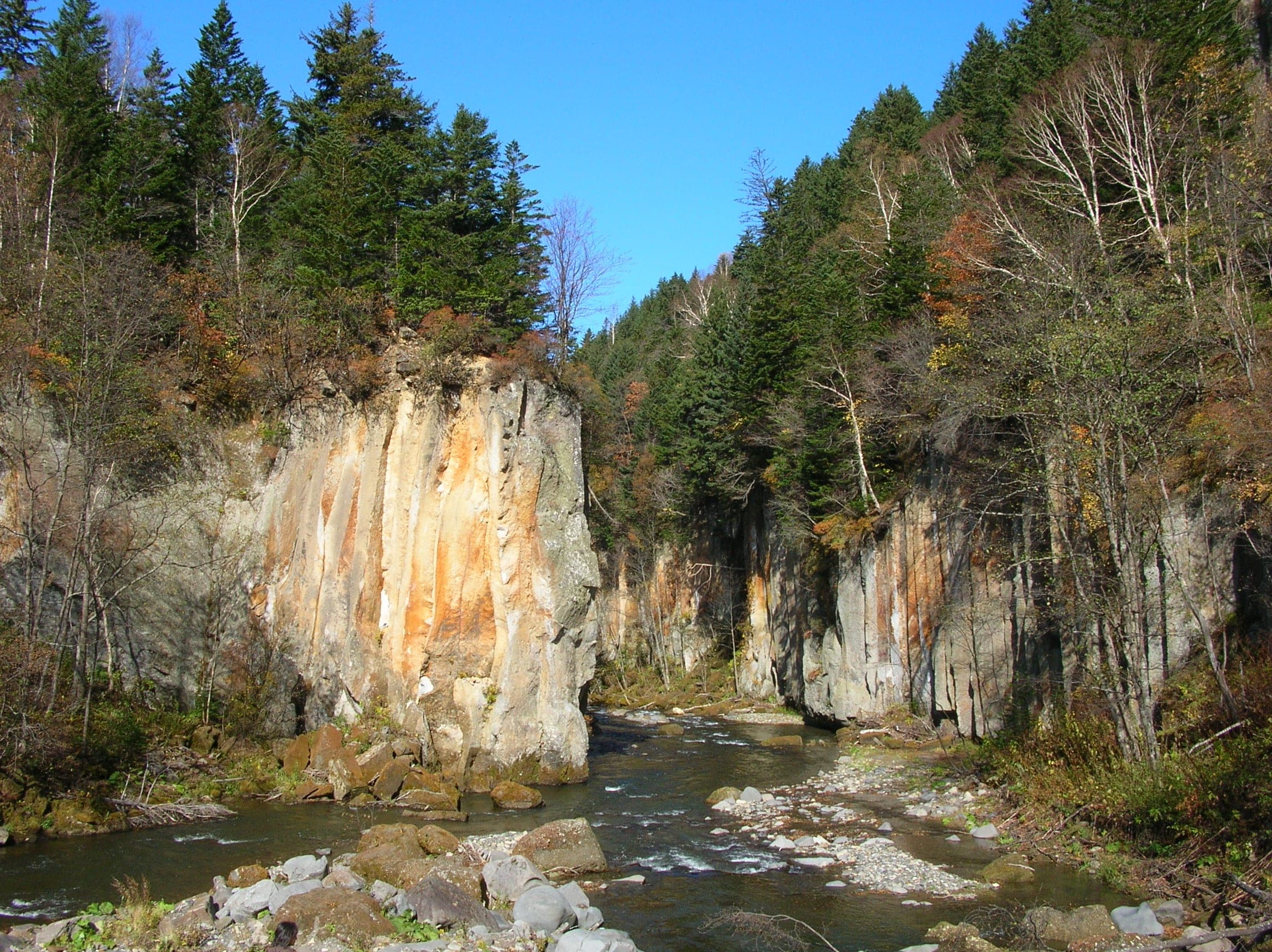 Autumn trees line the pale cliffs at Obako in the Sounkyo gorge
