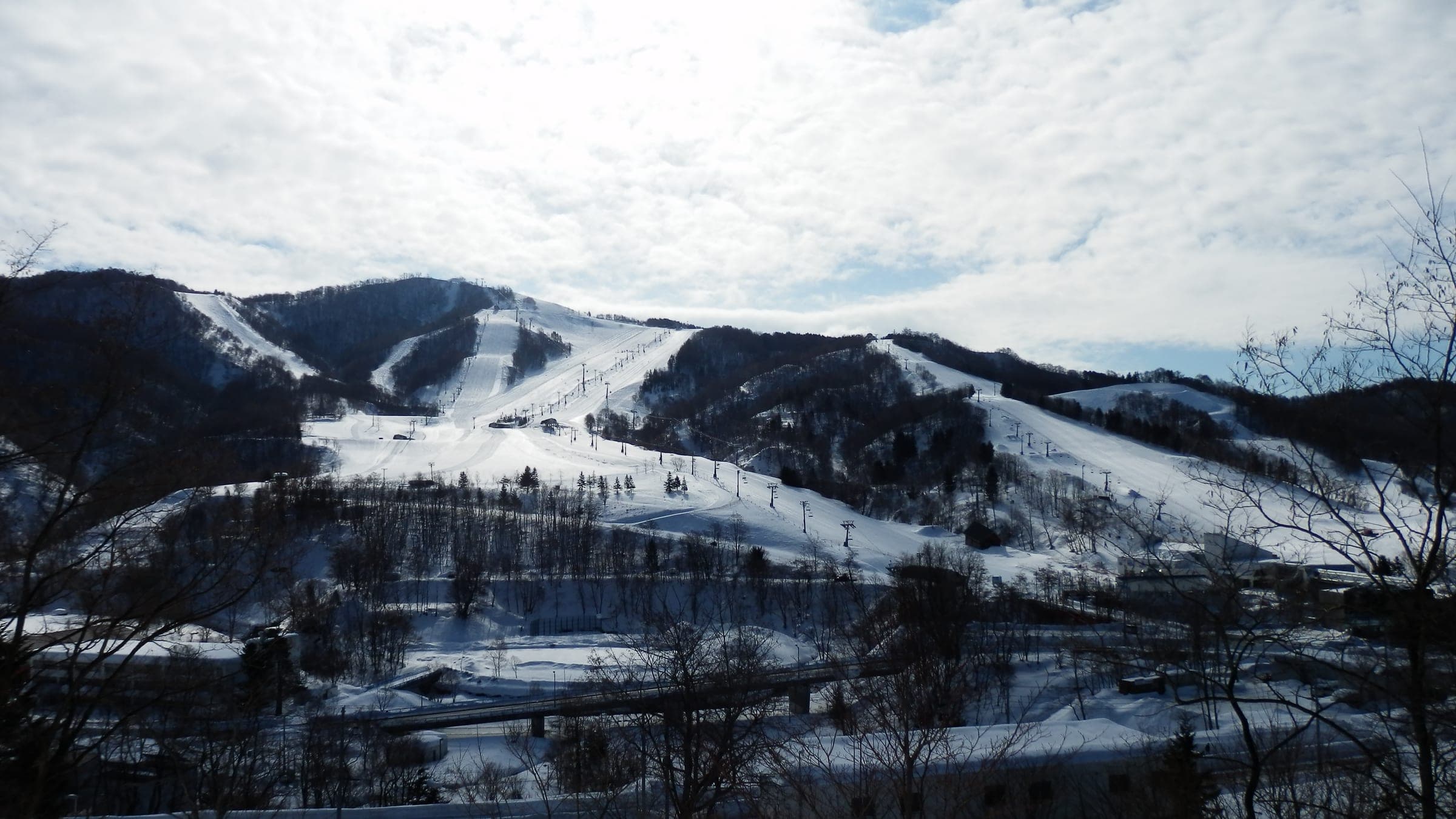 The ski runs of Mount Racey cut through the forested hills above Yubari in winter