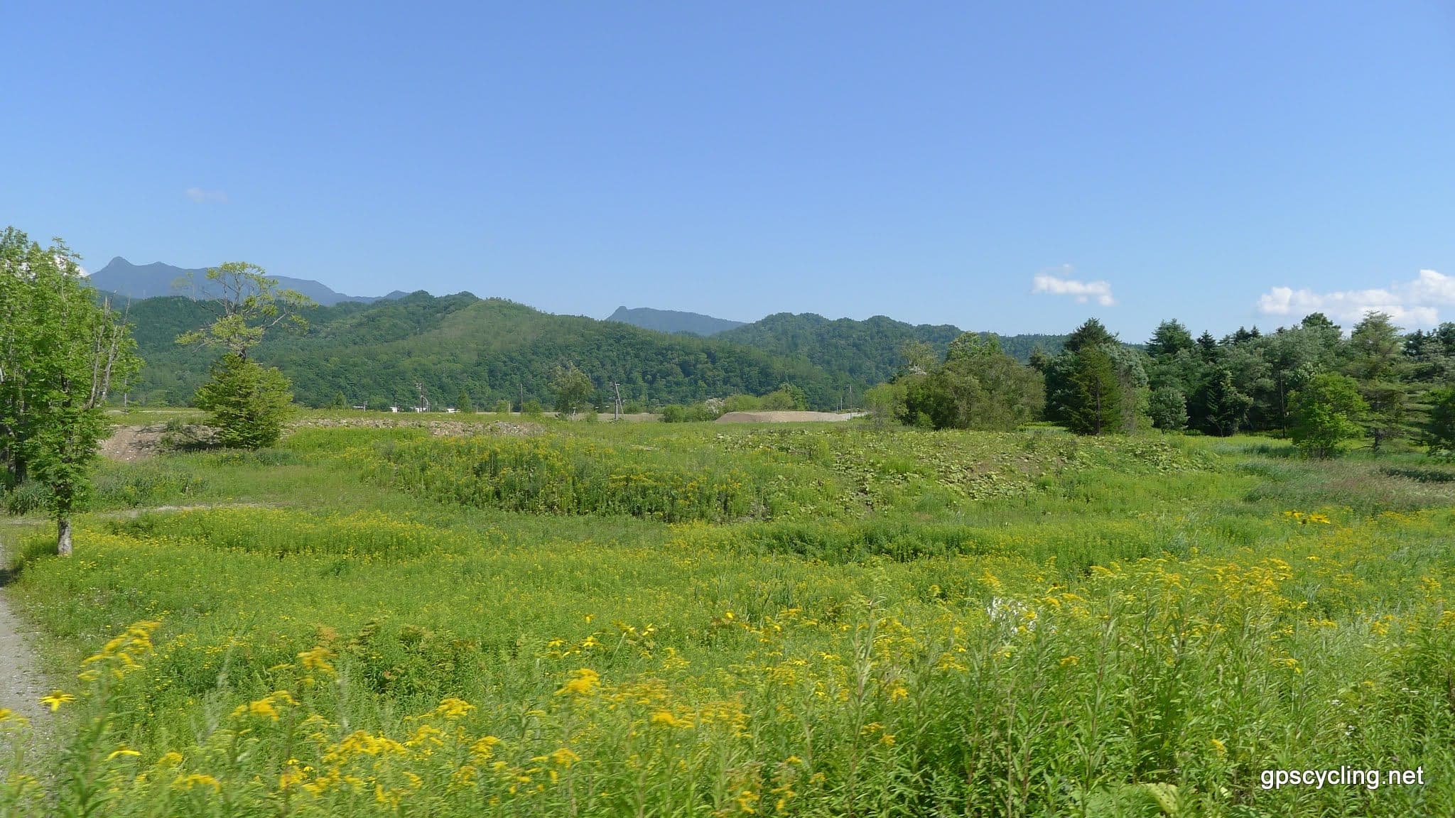 Green meadows and wooded hills at Oyubari in summer